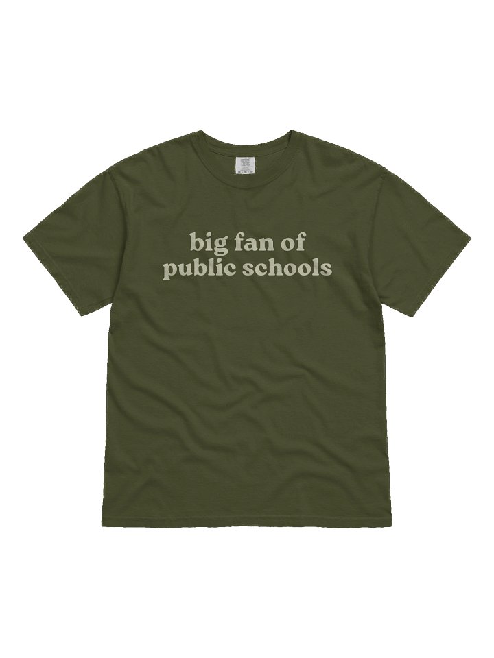 Big Fan of Public Schools Tee product image (1)