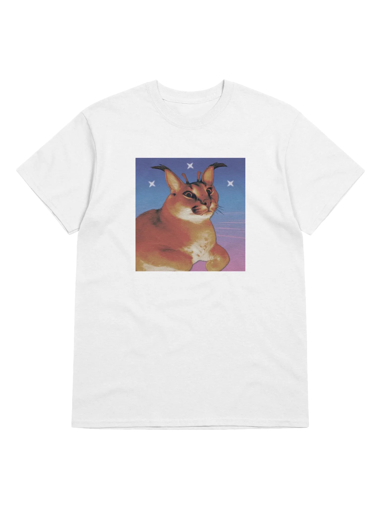 ALIEN FLOPPA MINIMALISTIC TEE (⏃⌰⟟⟒⋏ ⋔⟟⋏⟟⋔⏃⌰⟟⌇⏁⟟☊ ⎎⌰⍜⌿⌿⏃) product image (1)