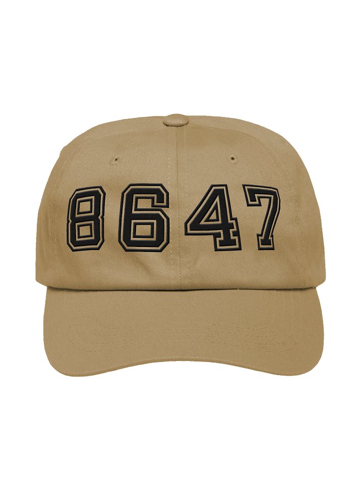 8647 dad hat college dark product image (1)