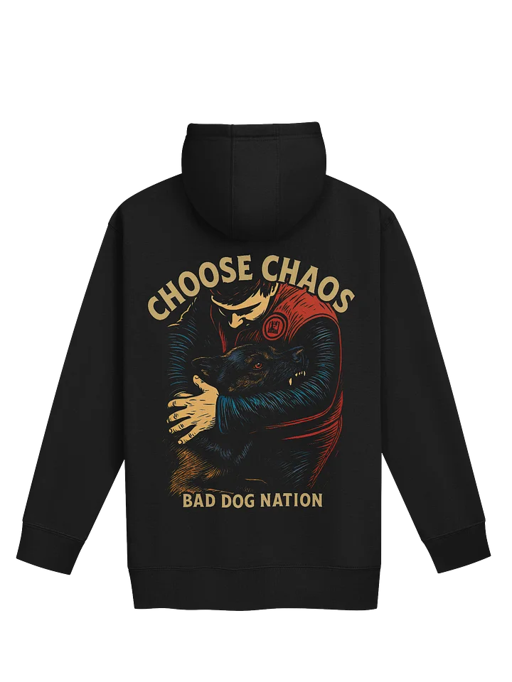 Choose Chaos - Premium Adult Unisex Hoodie product image (1)