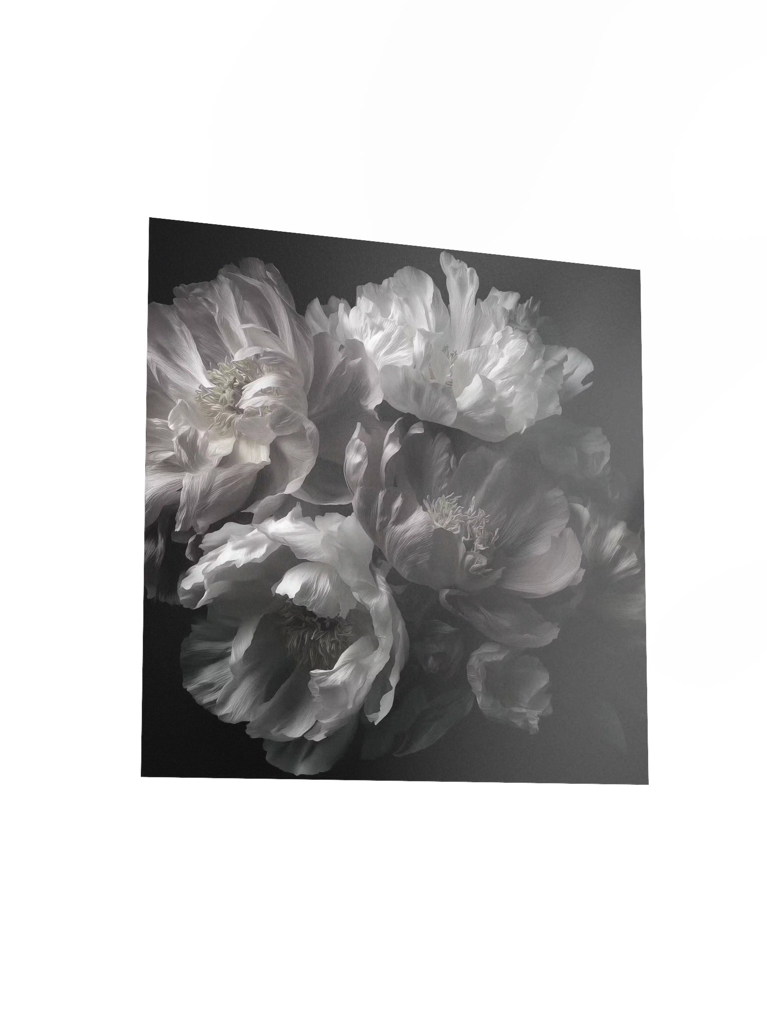 Carbon Bloom I — Pale Noise - Fine Art Print product image (3)