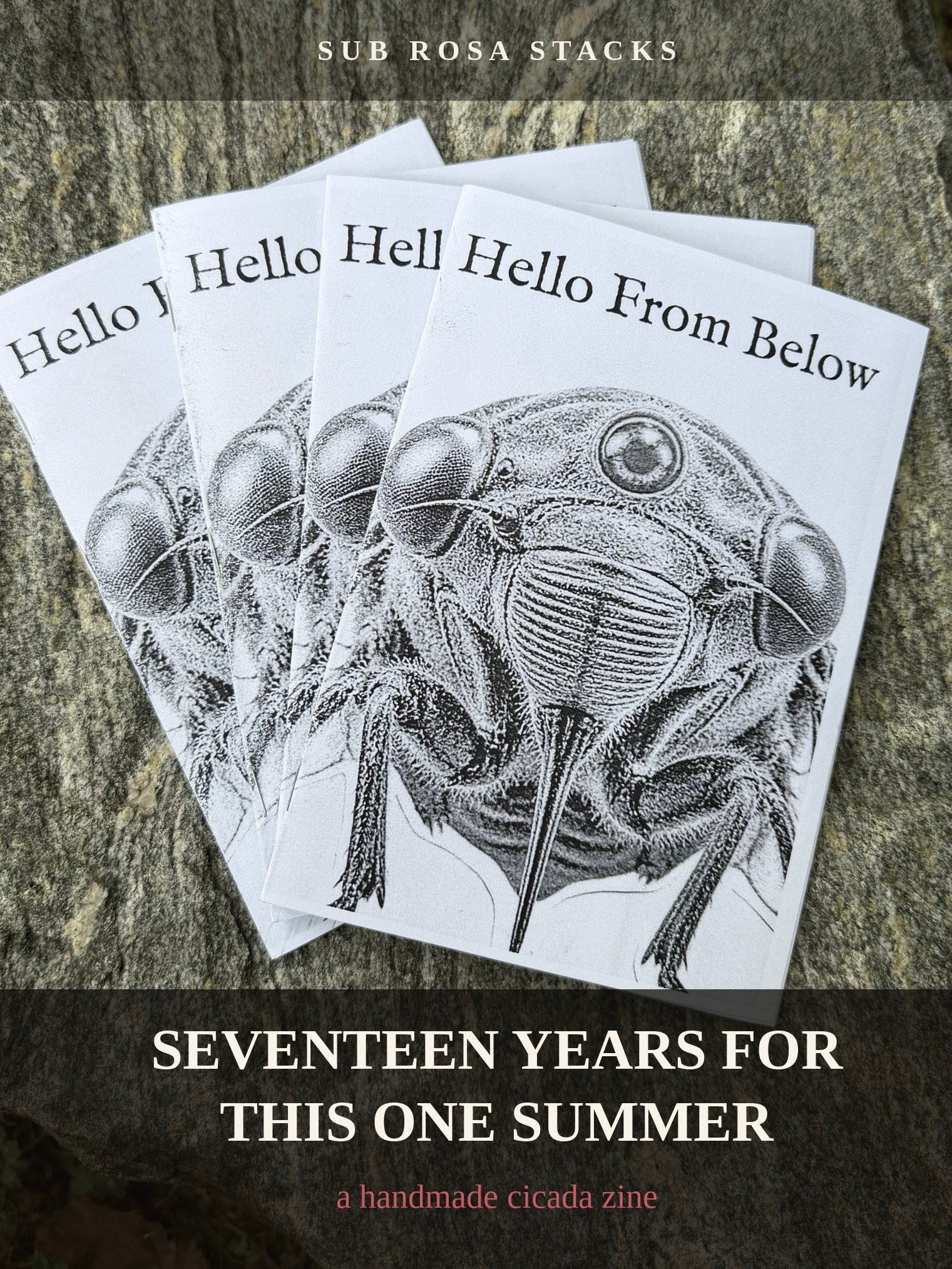 Hello From Below: A Cicada Zine product image (1)