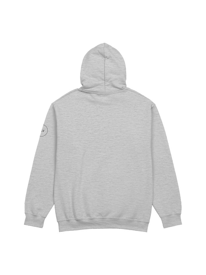 The Original PRAY LIFT VOTE Hoodie product image (8)