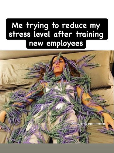 Lavender helps! 

Training the new employee all day looks like this.

“Here’s how certificates work.”
“Here’s where the ACORD...