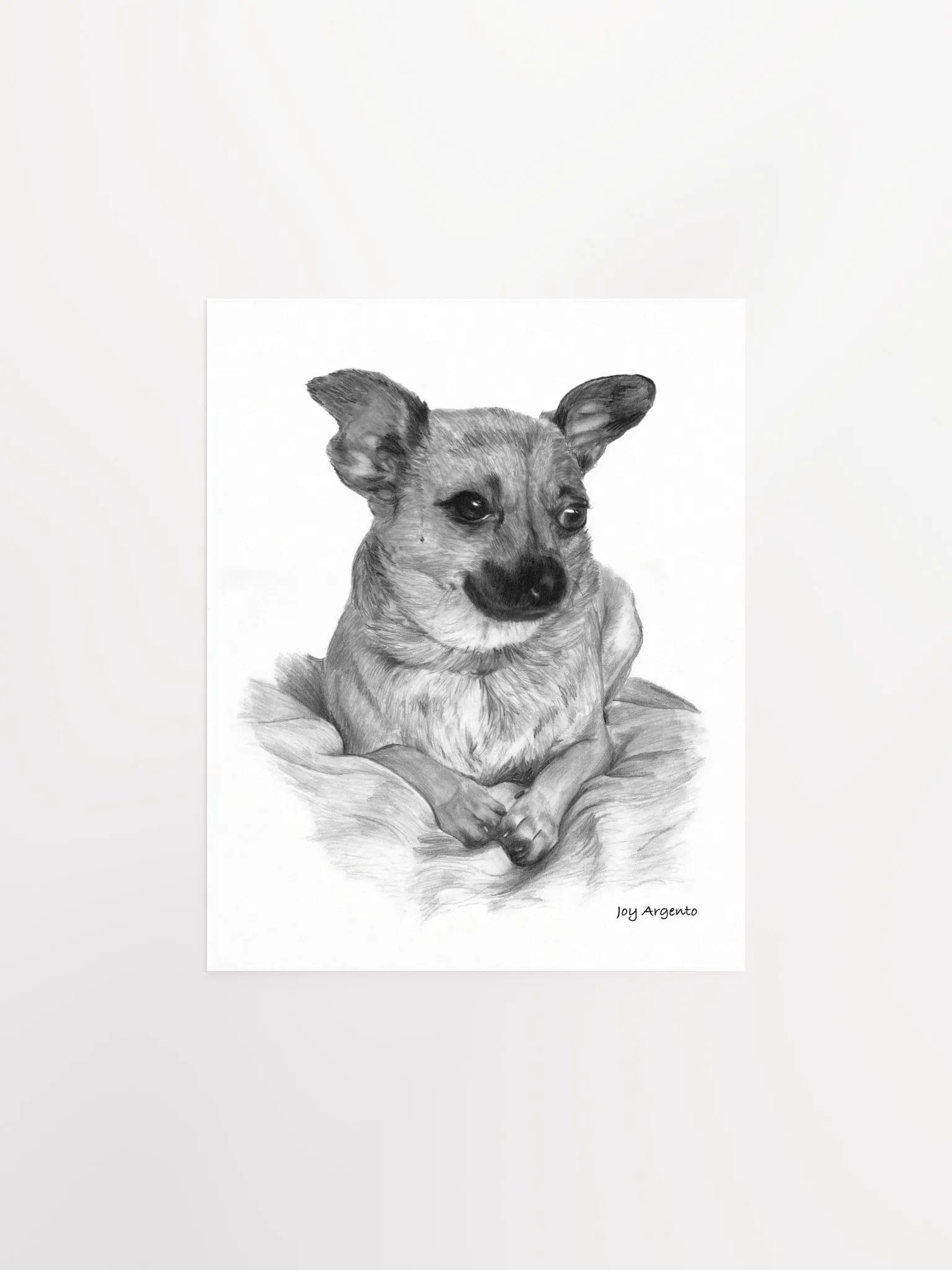 Chihuahua Print product image (1)