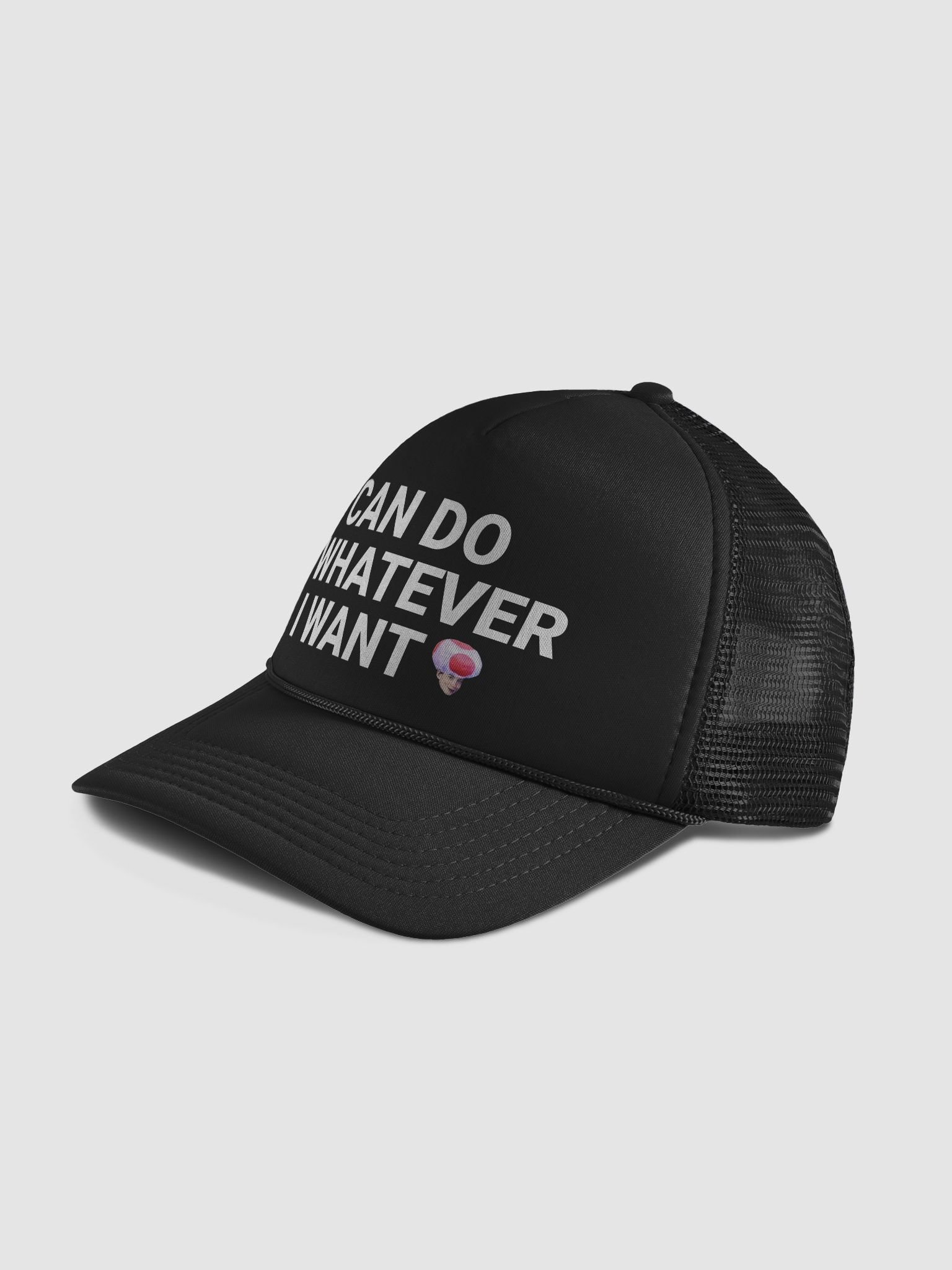 I CAN DO W.E I WANT HAT product image (4)