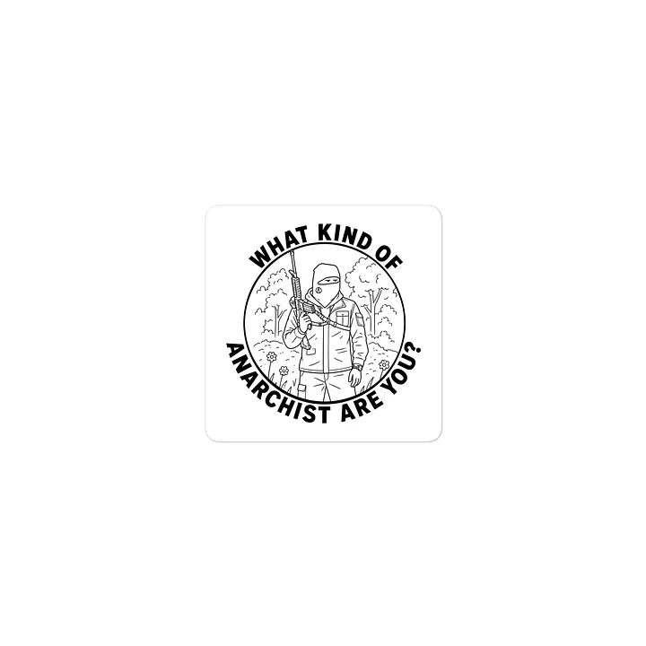 WHAT KIND OF ANARCHIST ARE YOU? product image (1)