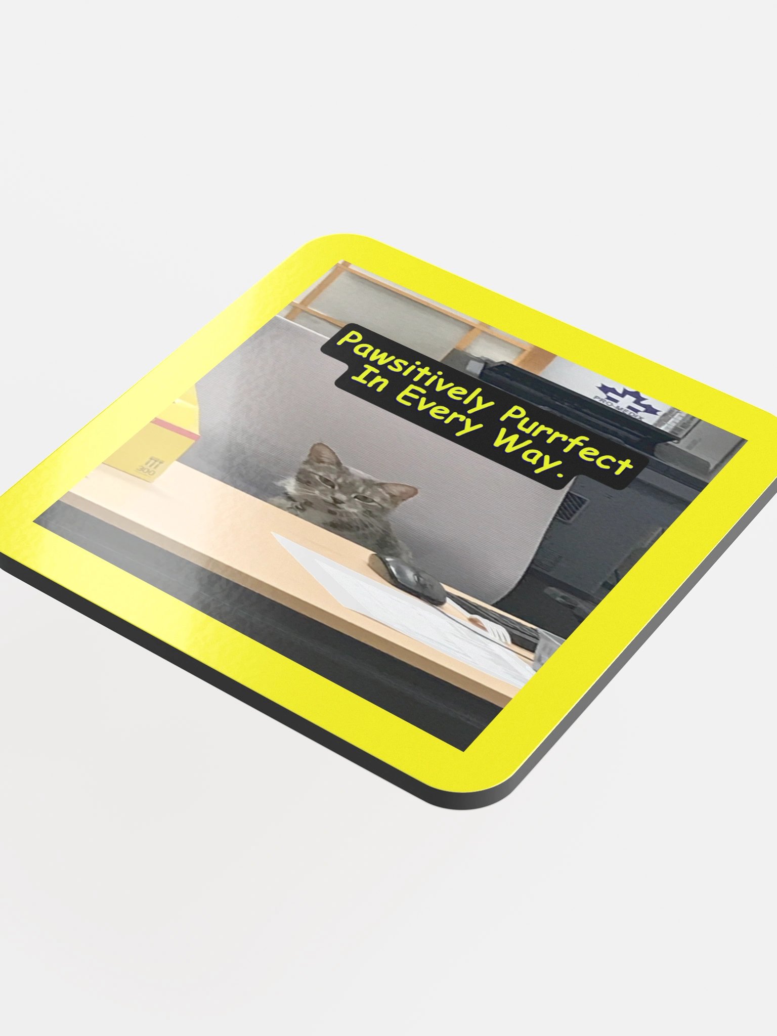 Pawsitively Purrfect Coaster Set product image (4)