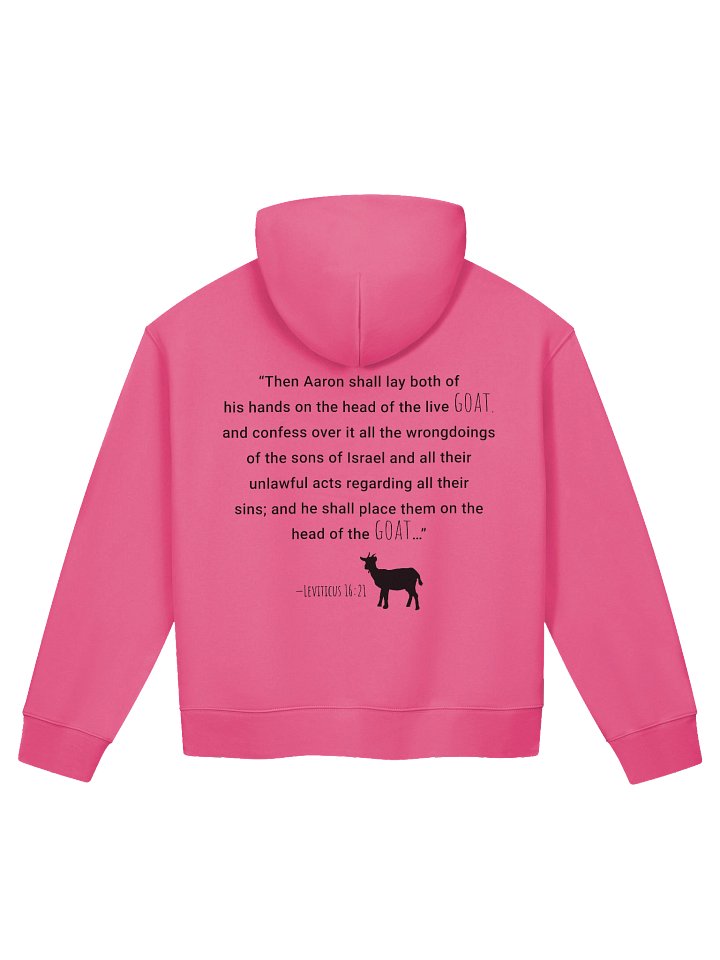 Jesus is the G.O.A.T. Women’s Relaxed Hoodie product image (2)