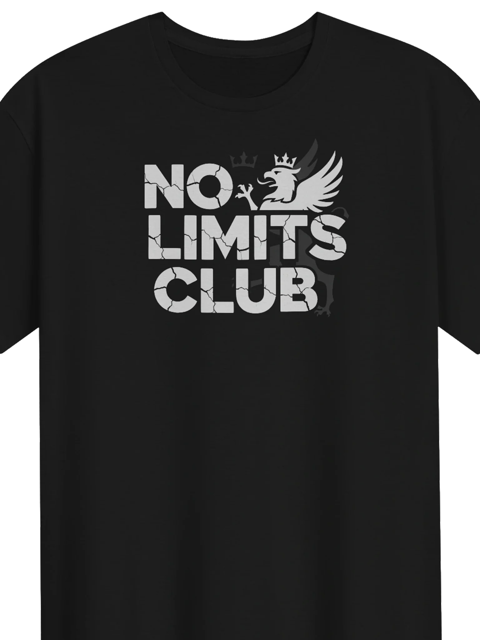 Gildan Unisex Softstyle Graphic Tee - No Limits Club product image (2)