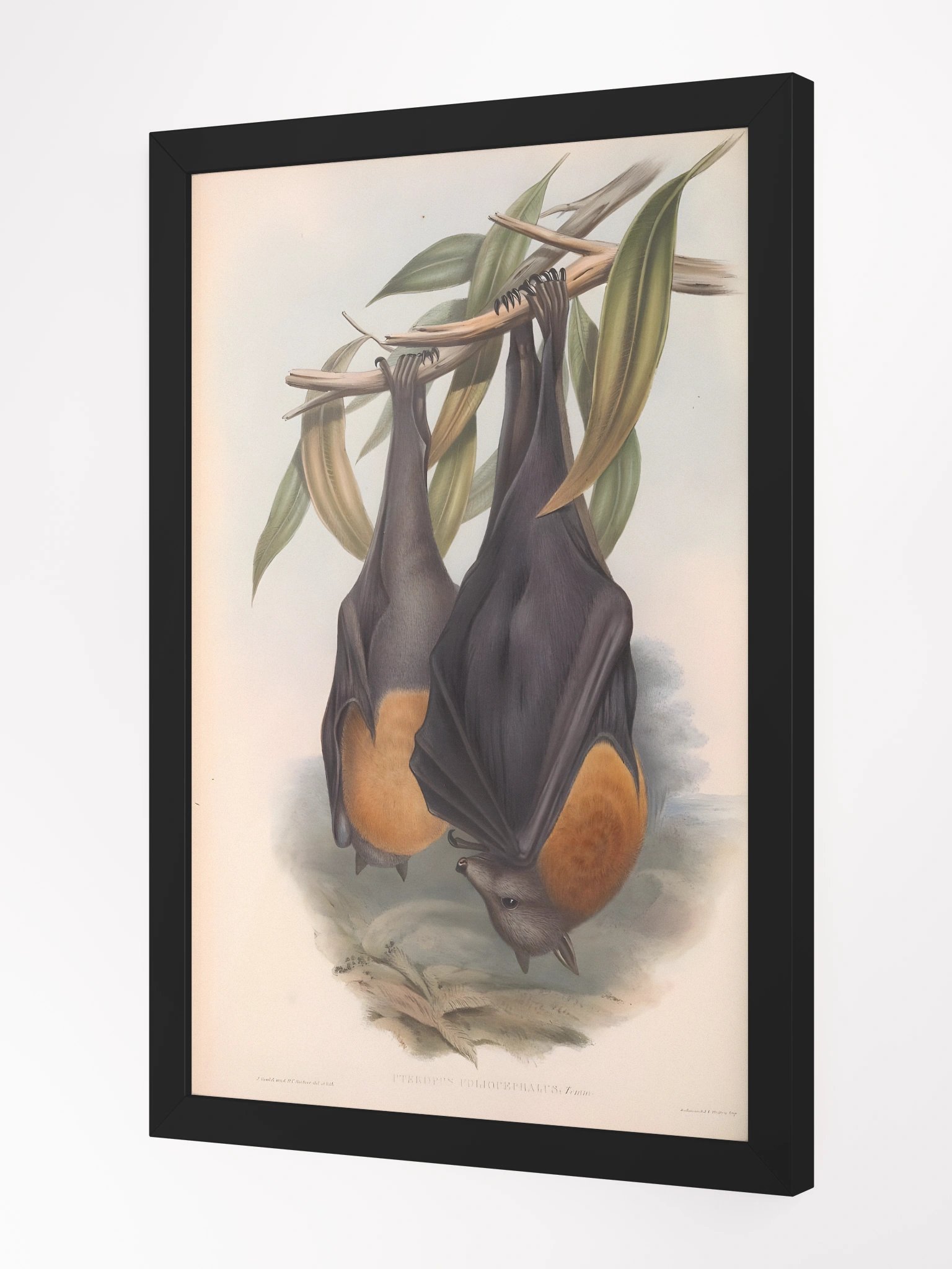 Framed Print - Gothic Halloween Decor 'Midnight Flight' product image (2)