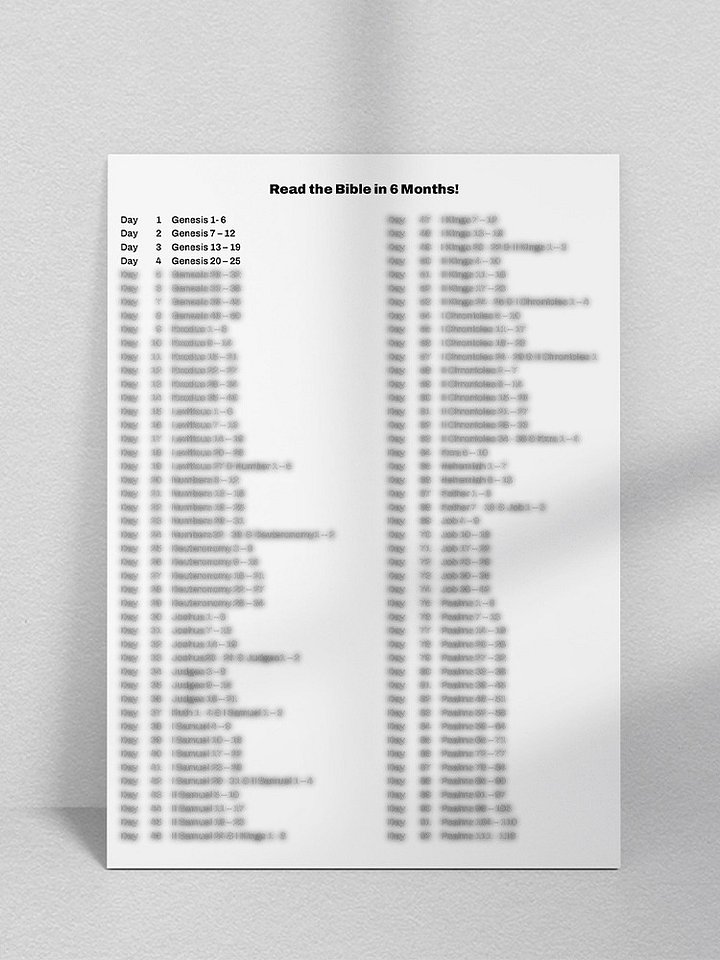 6 Month Bible Reading Plan product image (1)