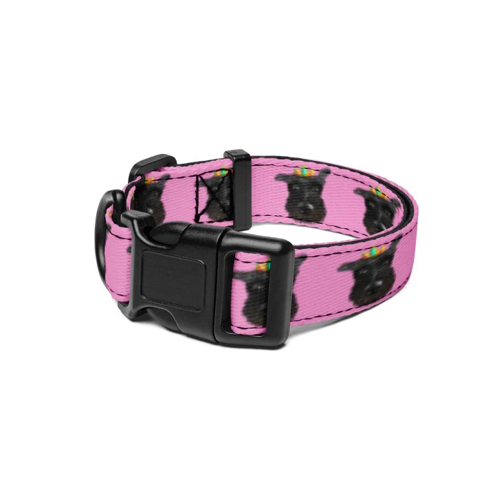 Queen Kyia Pet Collar product image (1)
