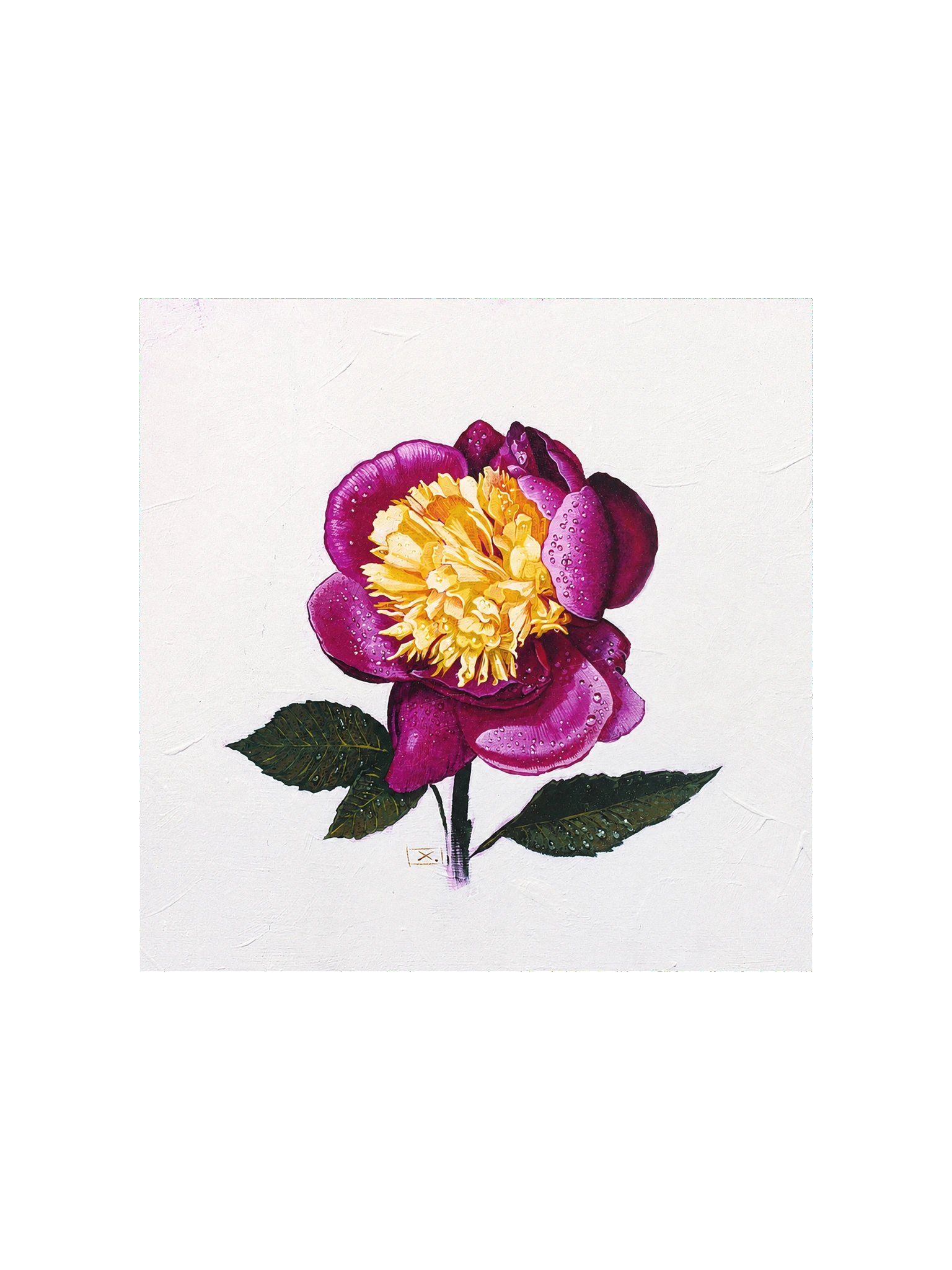 Peony After the Rain product image (1)