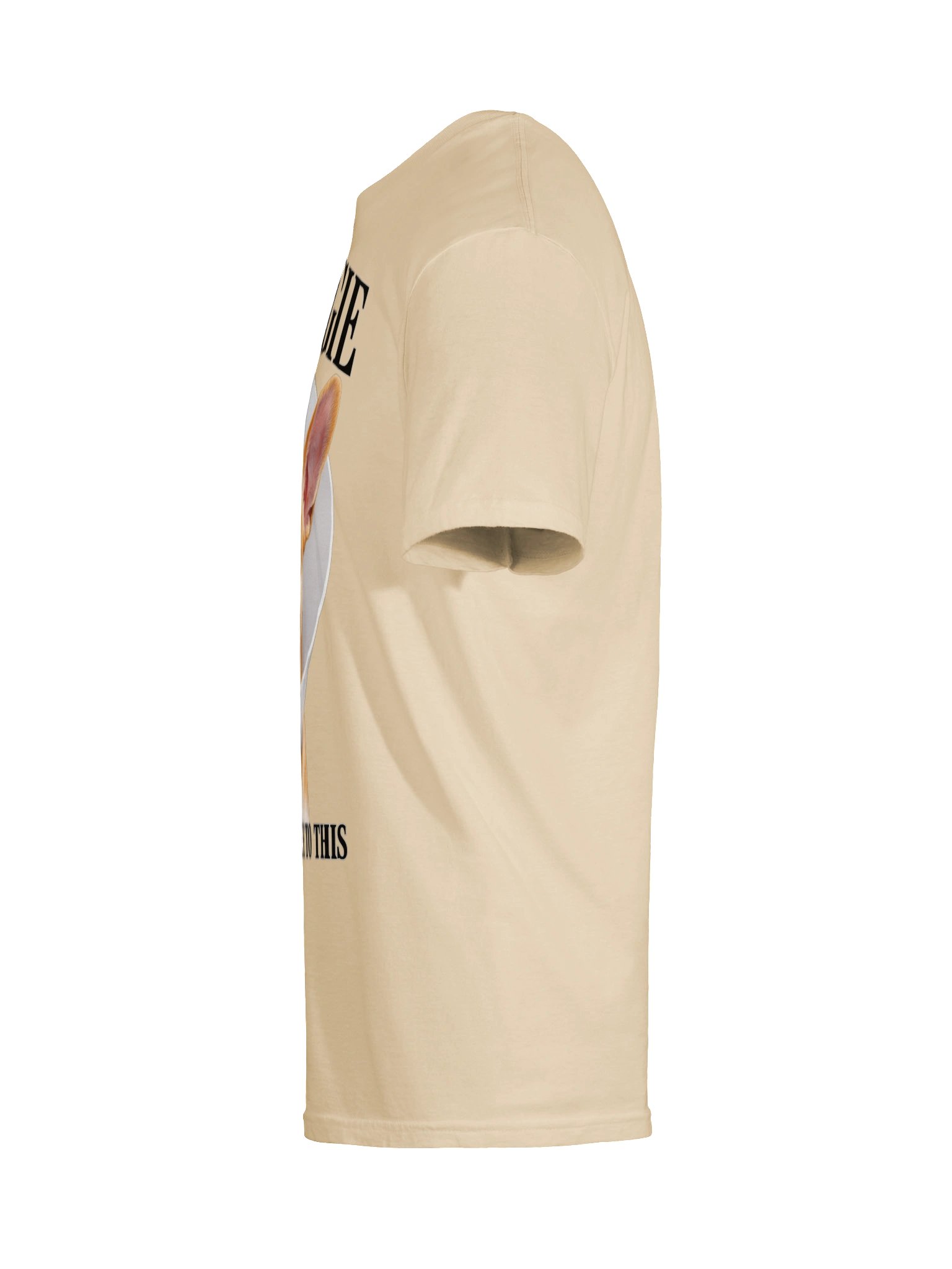 Georgie™ – "I Did Not Agree to This" Vet Visit Tee product image (36)