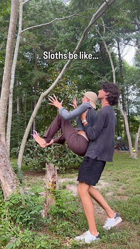 Sloths be like… 

Give me an easier one next 😭😂🙏

#slothmemes #slothsbelike #slothimpression #funnysloth #slothmeme