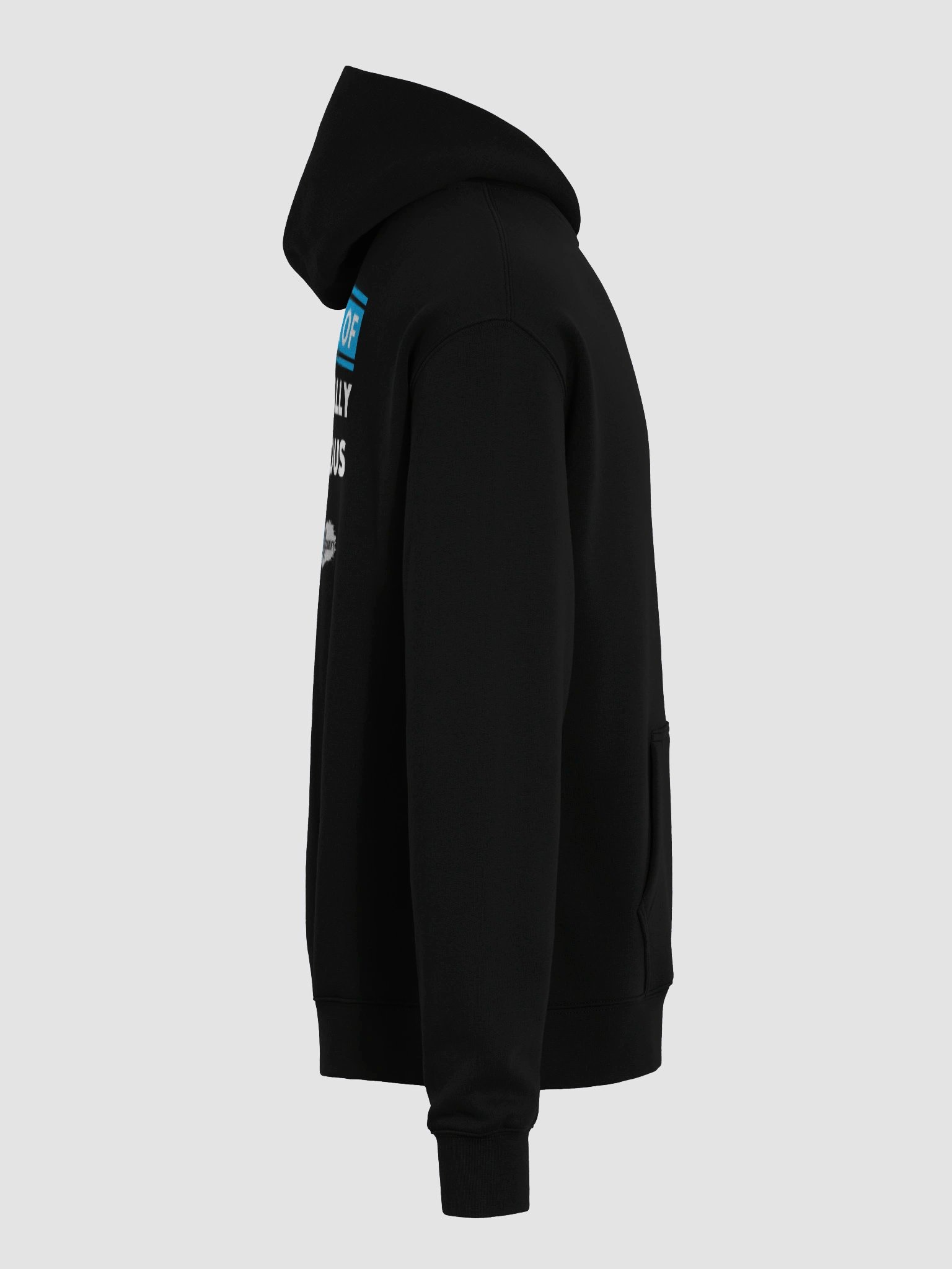 Beware of PDF Oversized Hoodie product image (7)
