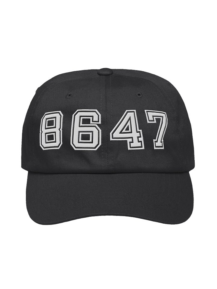 8647 dad hat college light product image (1)