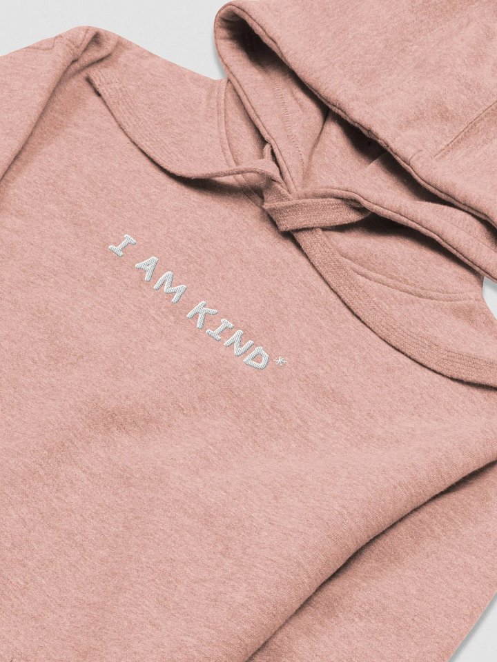 KIND OF A LOSER - EMBROIDERED HOODIE product image (2)