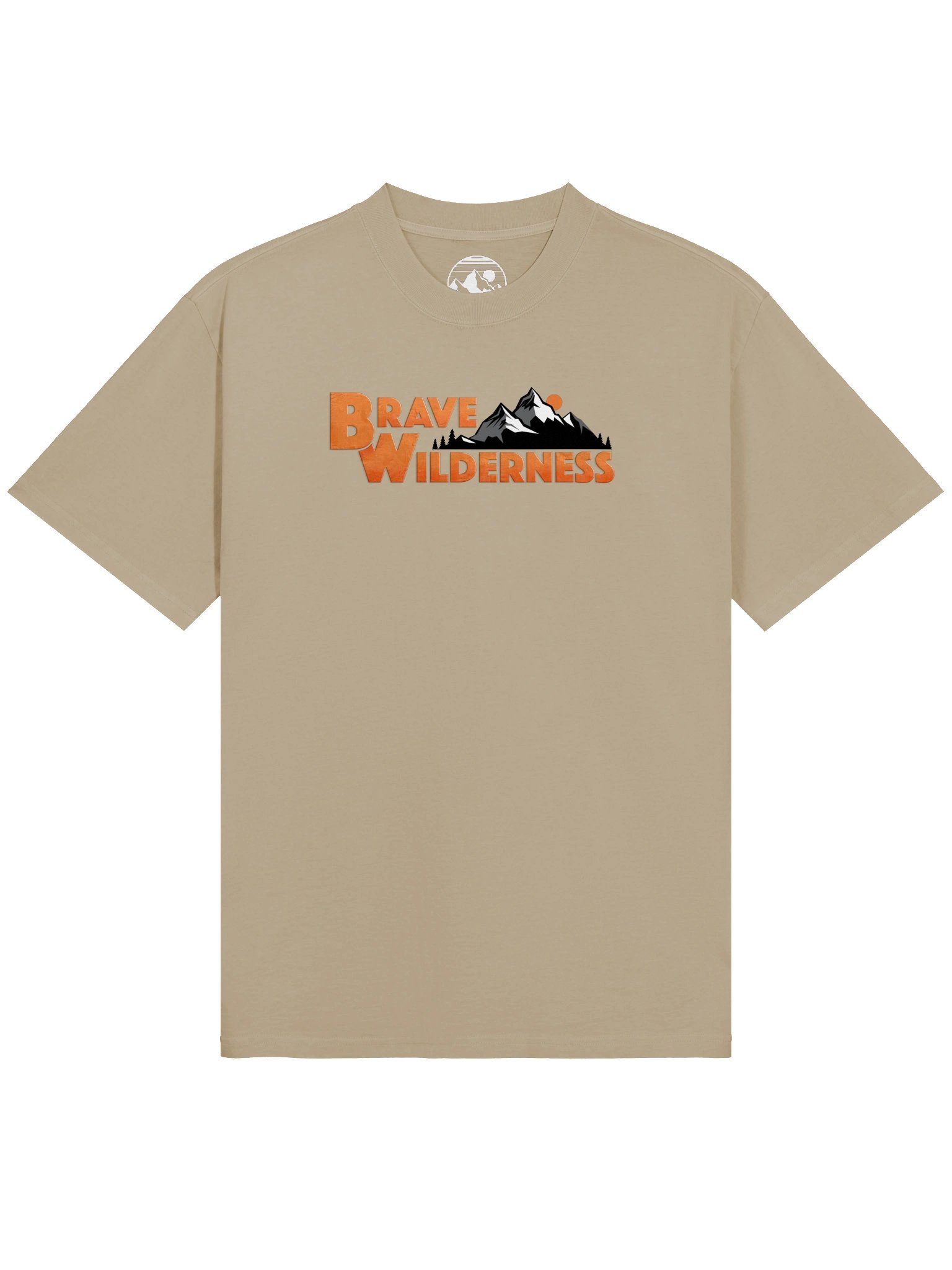 BW Classic Oversized T-Shirt product image (1)