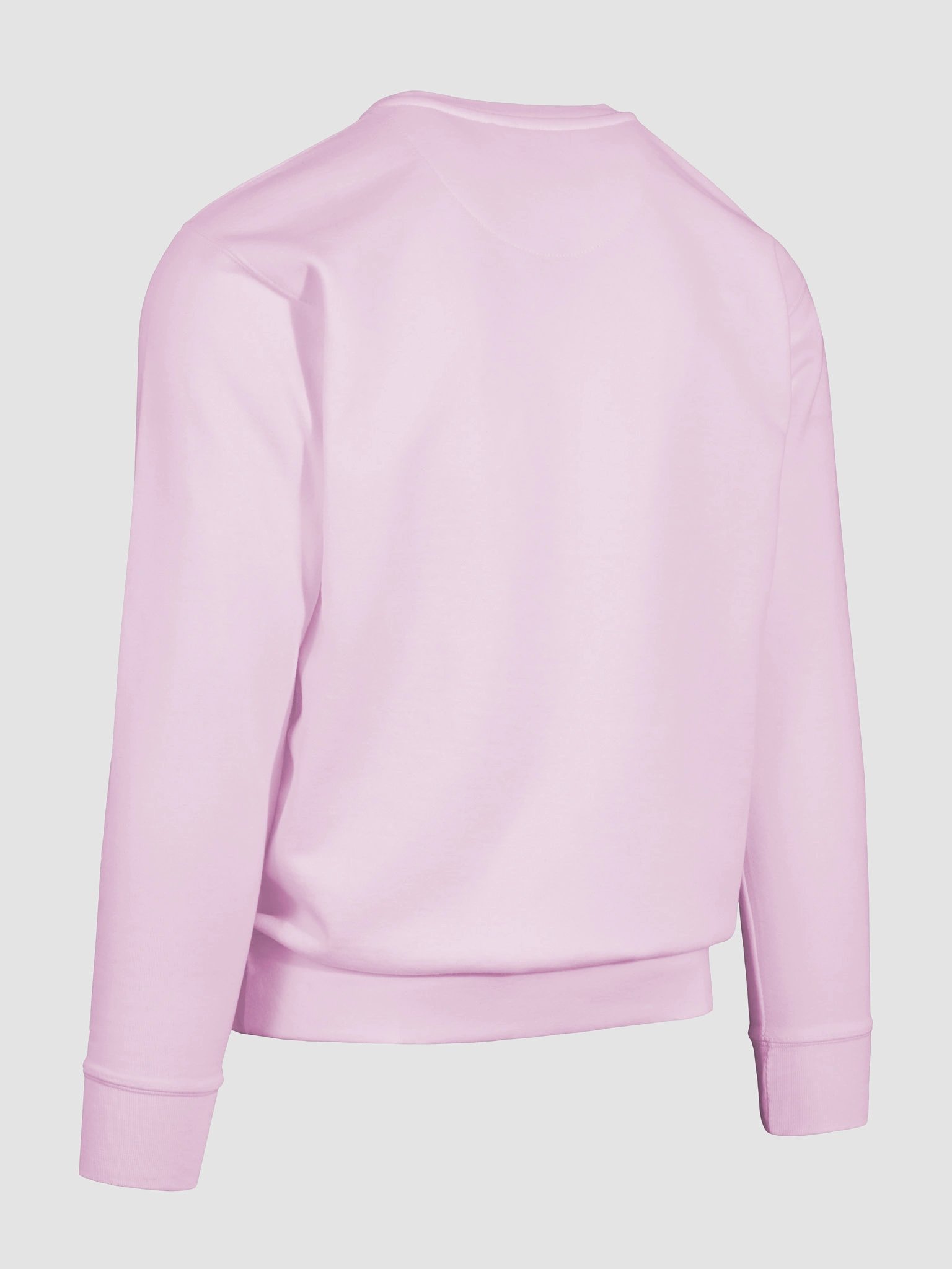 DeVILLAGE Premium Sweatshirt product image (124)