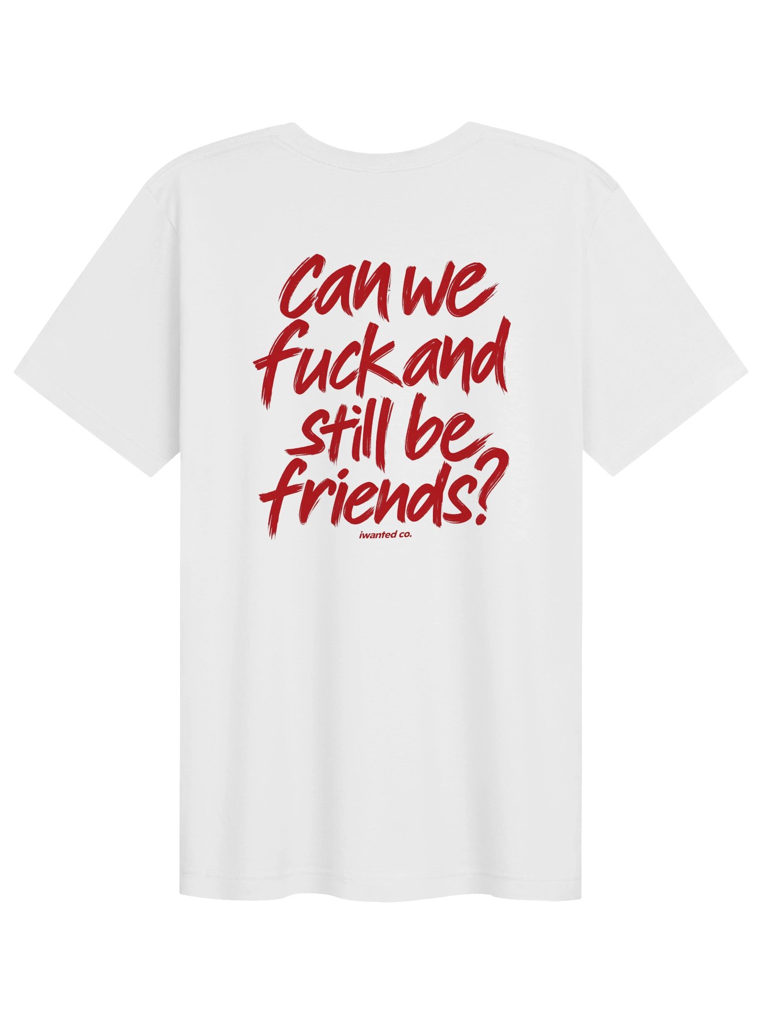 Can We Fuck and Still Be Friends T-Shirt product image (3)