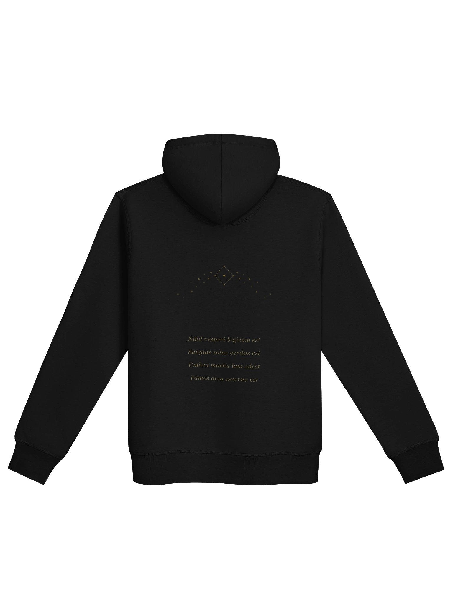 Vaaja hoodie (Unisex) product image (2)