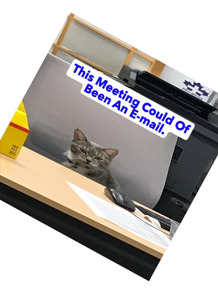 Office Cat Meeting Sticker product image (5)