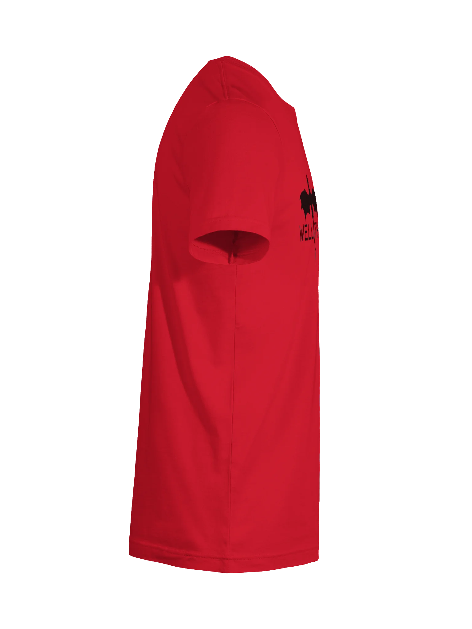 Fourth Wing - Xaden TShirt product image (72)