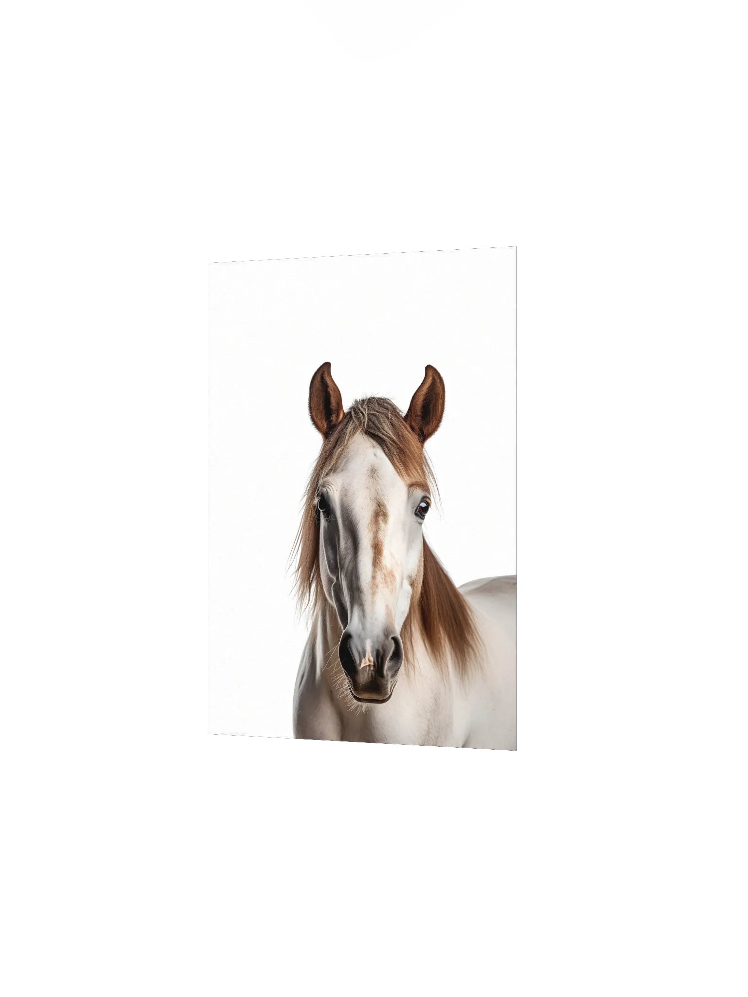 Farm Animal Spotted Horse Decor Print product image (3)