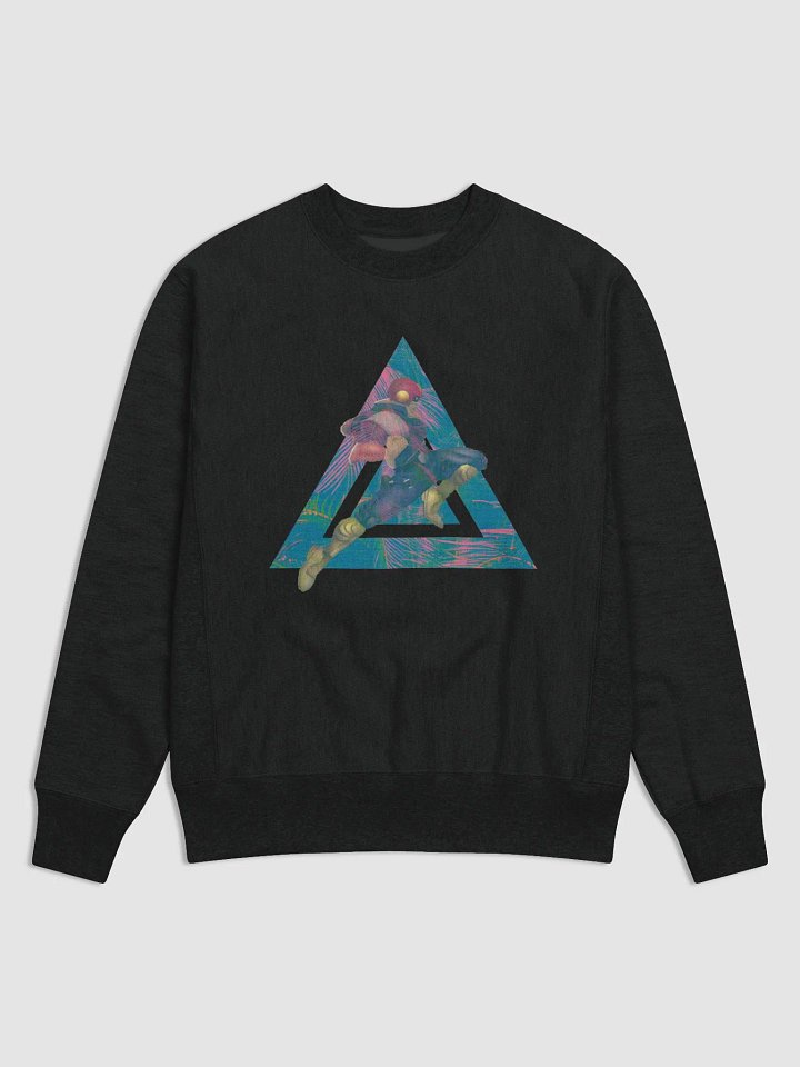 Falcon Sweatshirt product image (1)