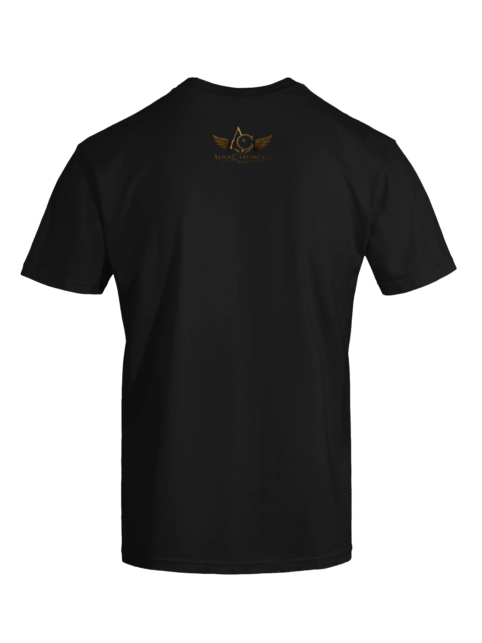 Back 2 Back Premium T-Shirt product image (7)