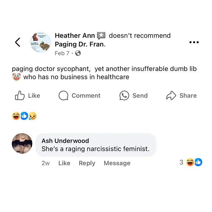 raging feminist (magnet) product image (4)
