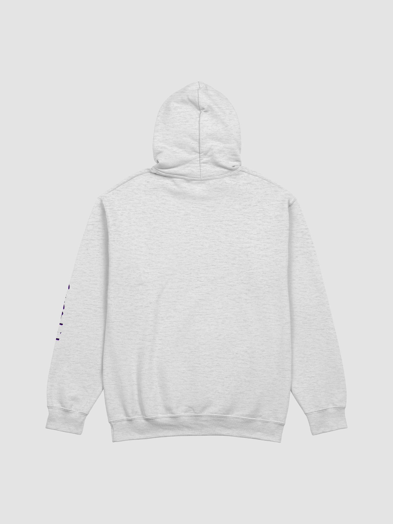 SOUPSANDWICH Classic Hoodie product image (2)