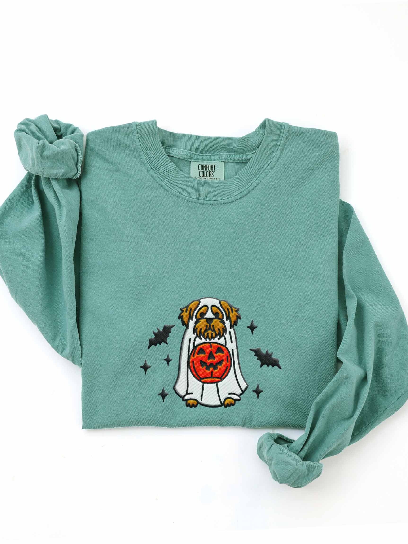 Halloween Havanese(Brown) Embroidered Long-Sleeve T-Shirt product image (1)