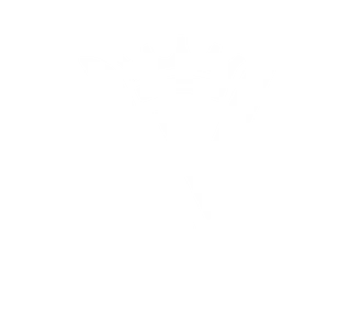 La Villa Victoriosa