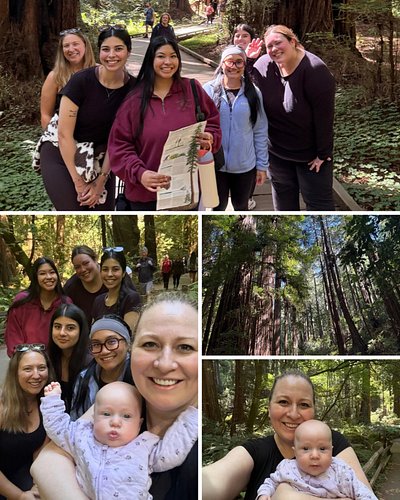 Happy end of summer from your friends at Poppy Kids! ☀️We had a little R&R with Poppy Team Bonding: hiking at Muir Woods 🌲, w...