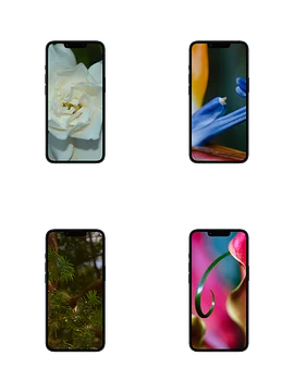 the beyond the thicket digital wallpaper collection