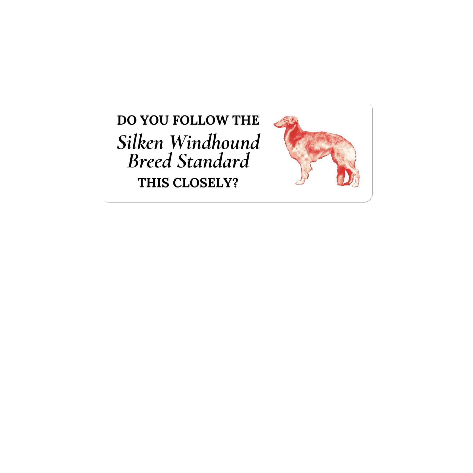 Do You Follow the Standard - Magnet product image (1)