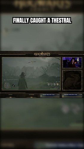 Finally caught a Thestral!!! 

#hogwartslegacy #thestral #gamingachievement #cozygaming