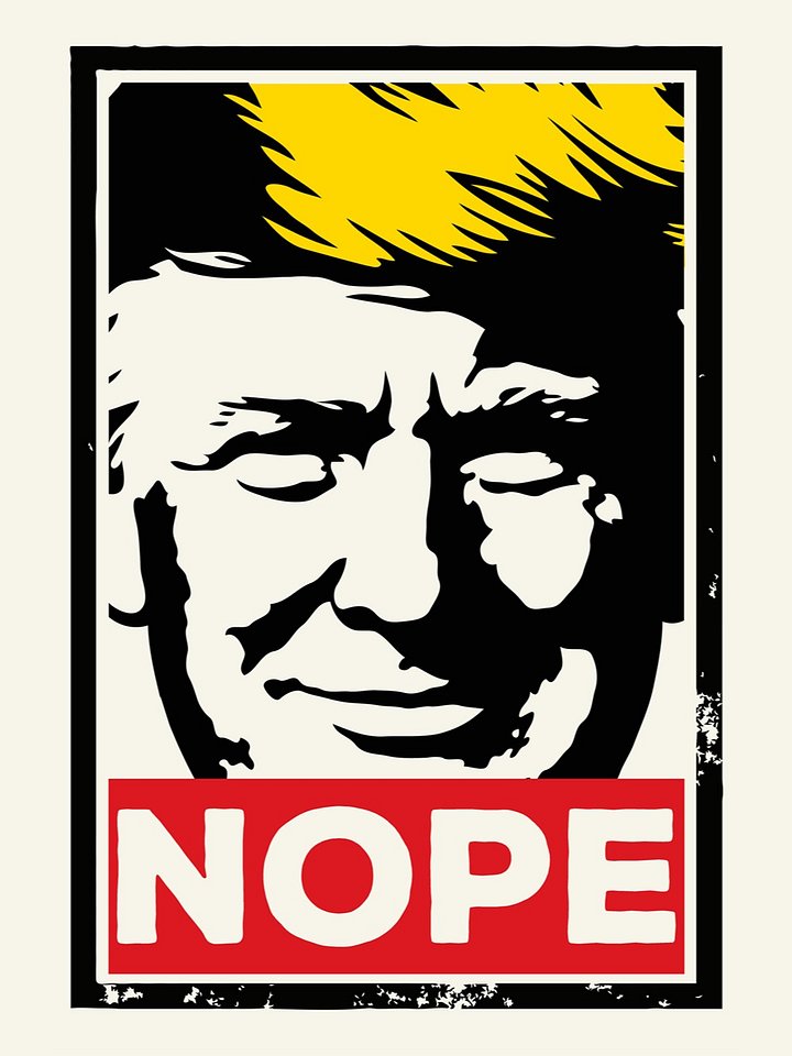 Instant Digital Download, Anti Trump, NOPE, Protest Sign product image (1)