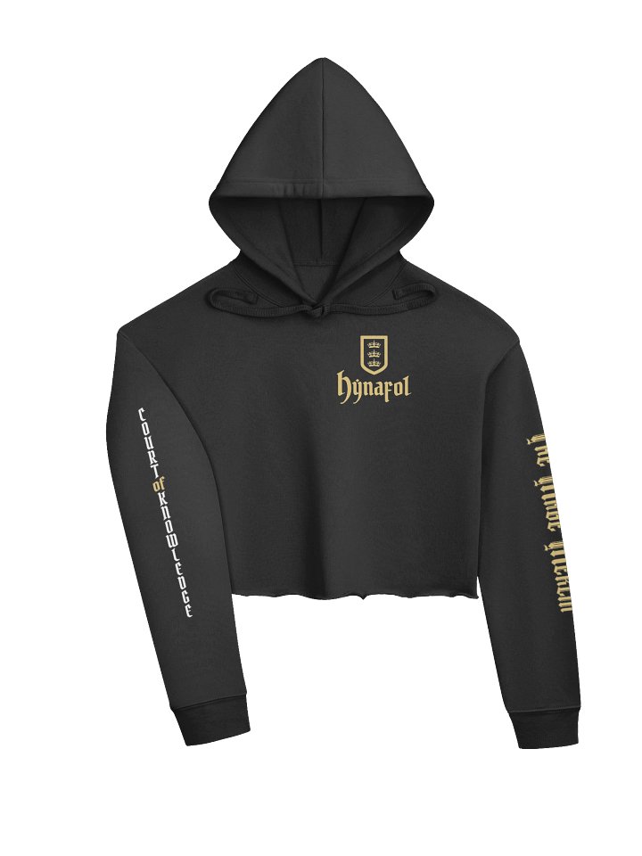 Court of Knowledge Crop Hoodie product image (2)