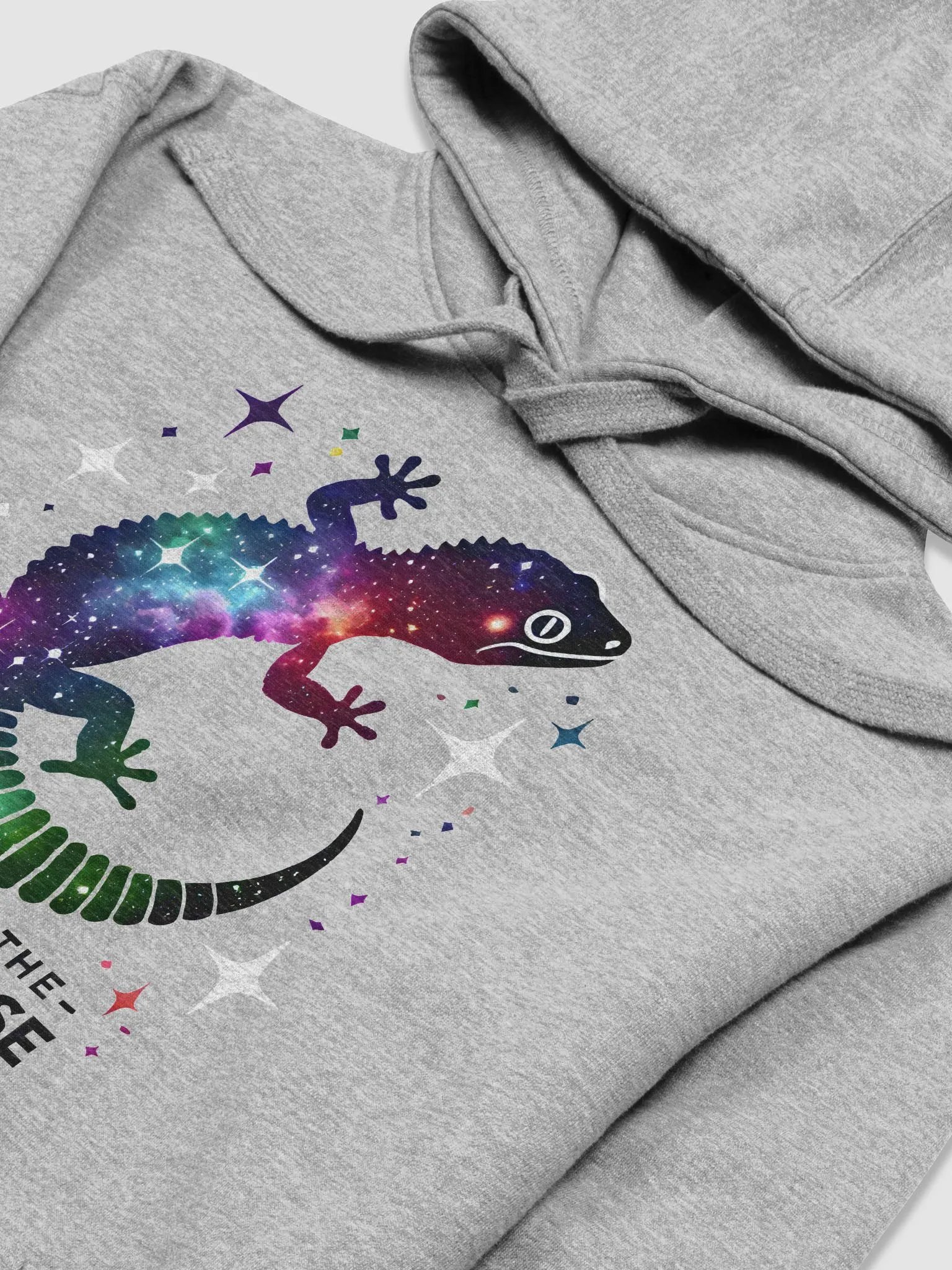 EXPLORING THE GECKO-VERSE Hoodie product image (23)