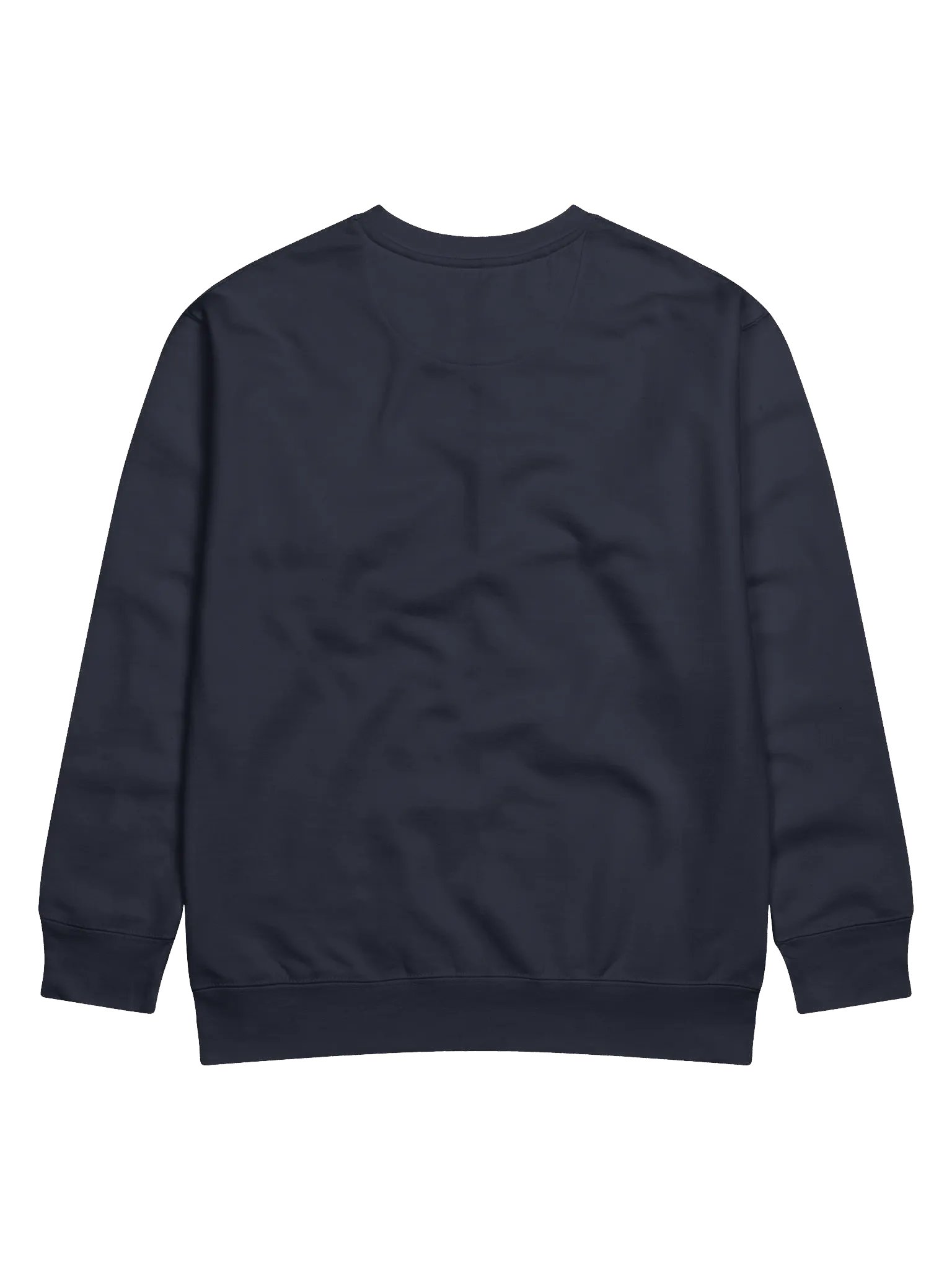 Mich Logo Sweatshirt product image (5)