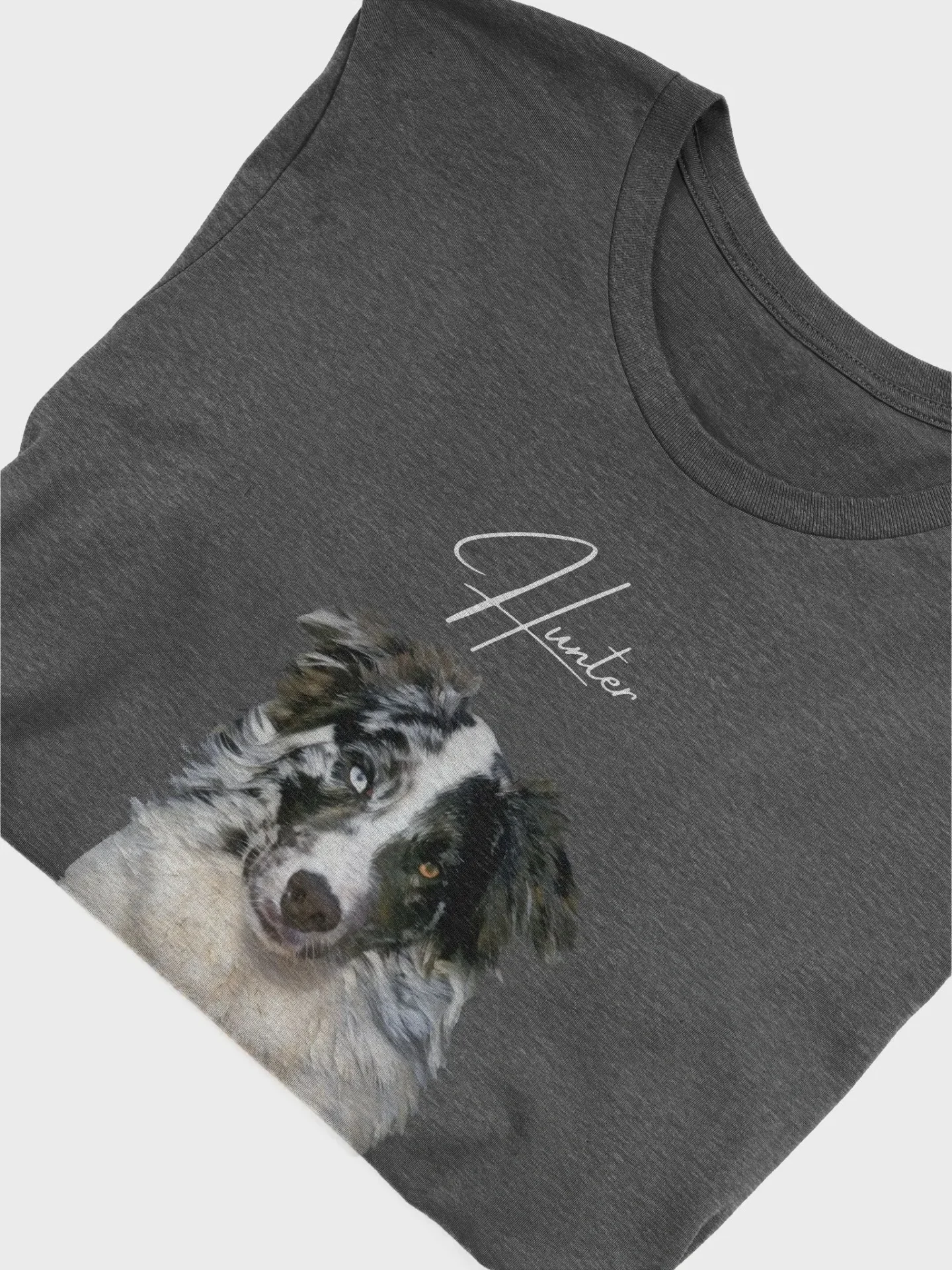 Custom Oil Painting Style Pet Portrait T-Shirt product image (17)