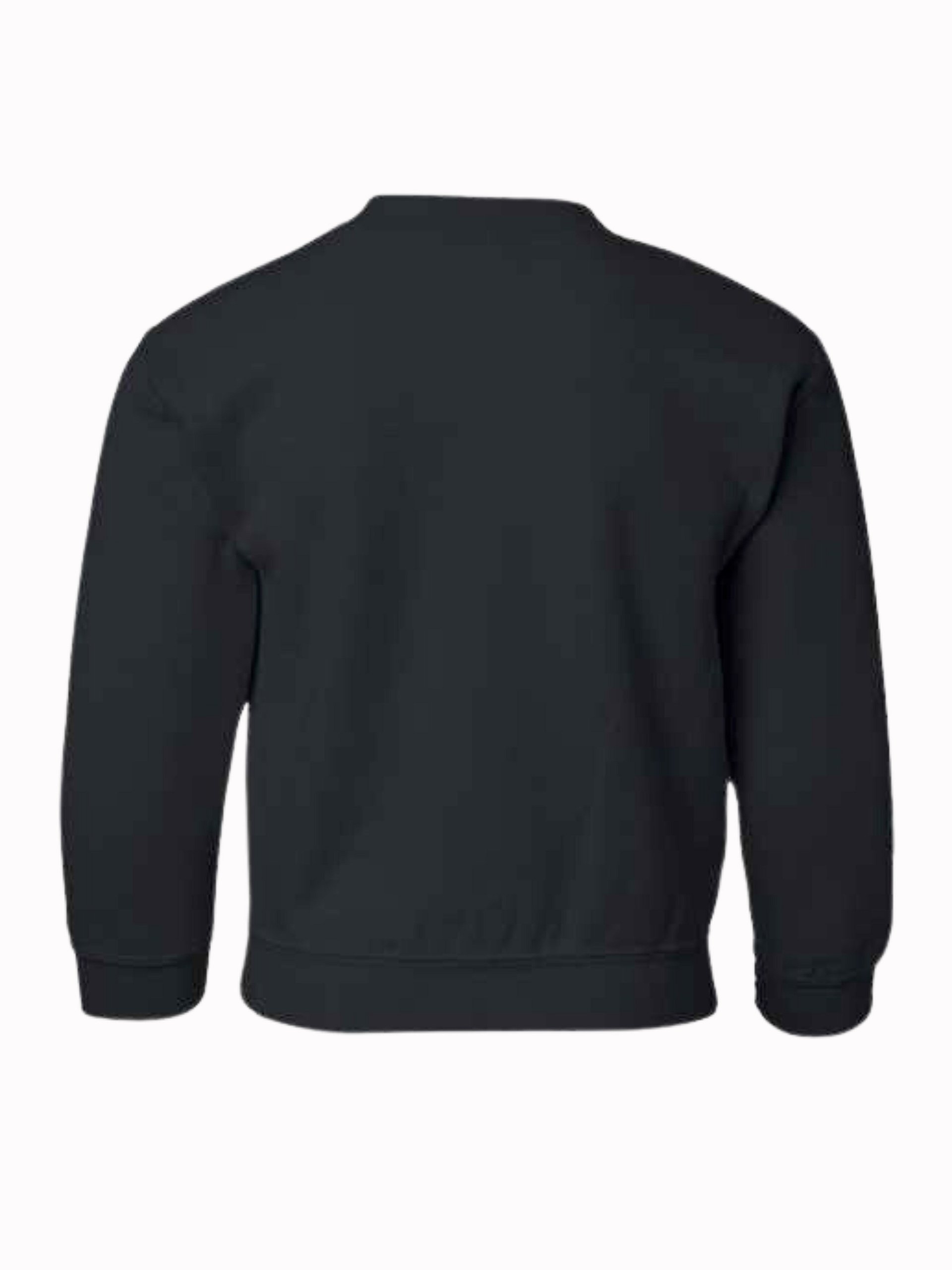 ND Heart Blue Youth Unisex Sweatshirt product image (2)