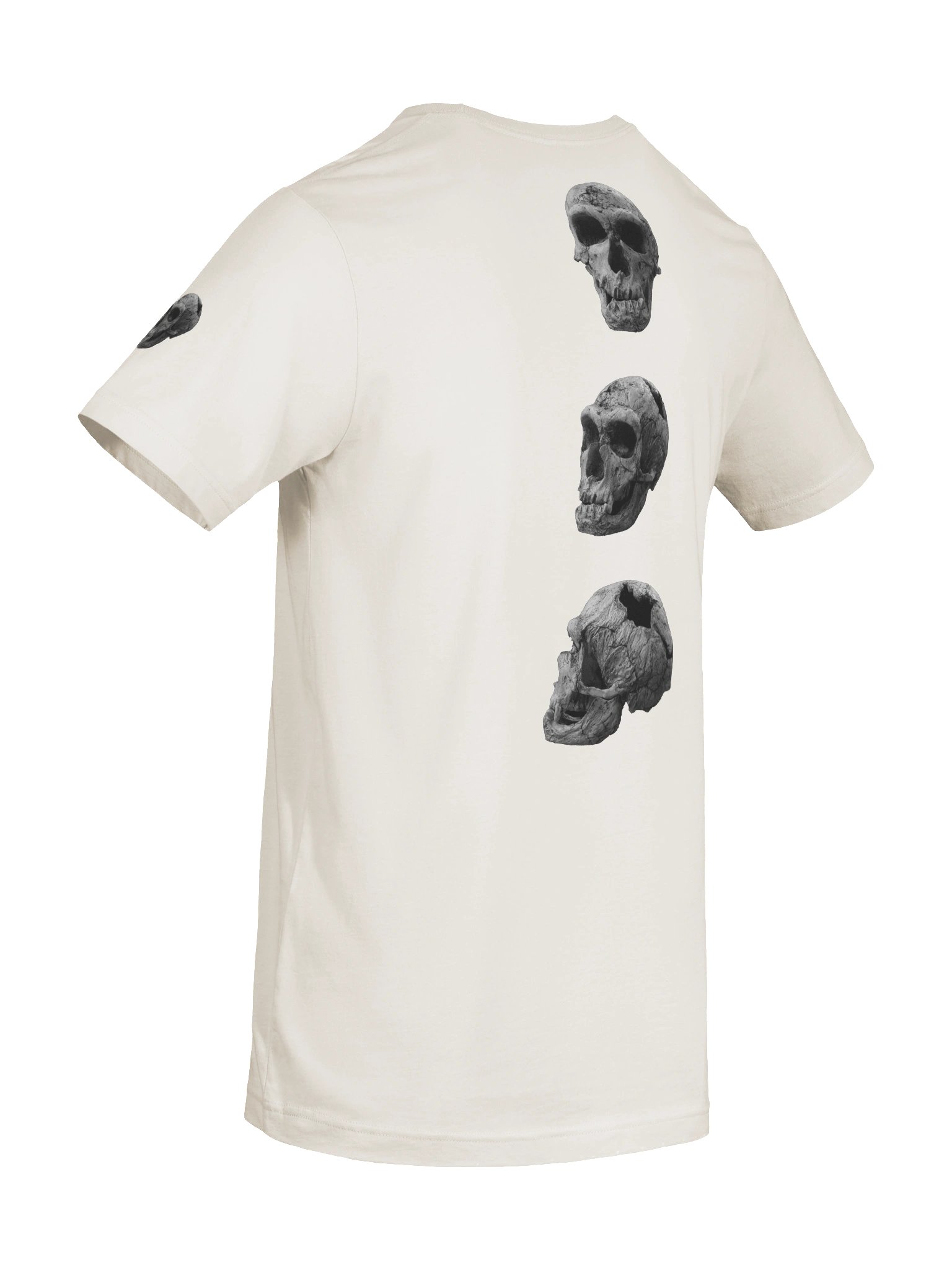 Neanderthal Fossil Skull T-Shirt Light product image (8)