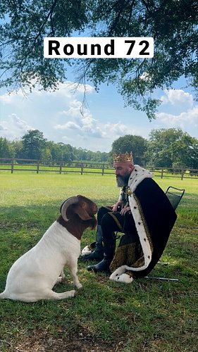 Who’s the Boss?: Round 72 #RoyalFamily #whostheboss #sogachaos #GordonRammy #swgeorgia