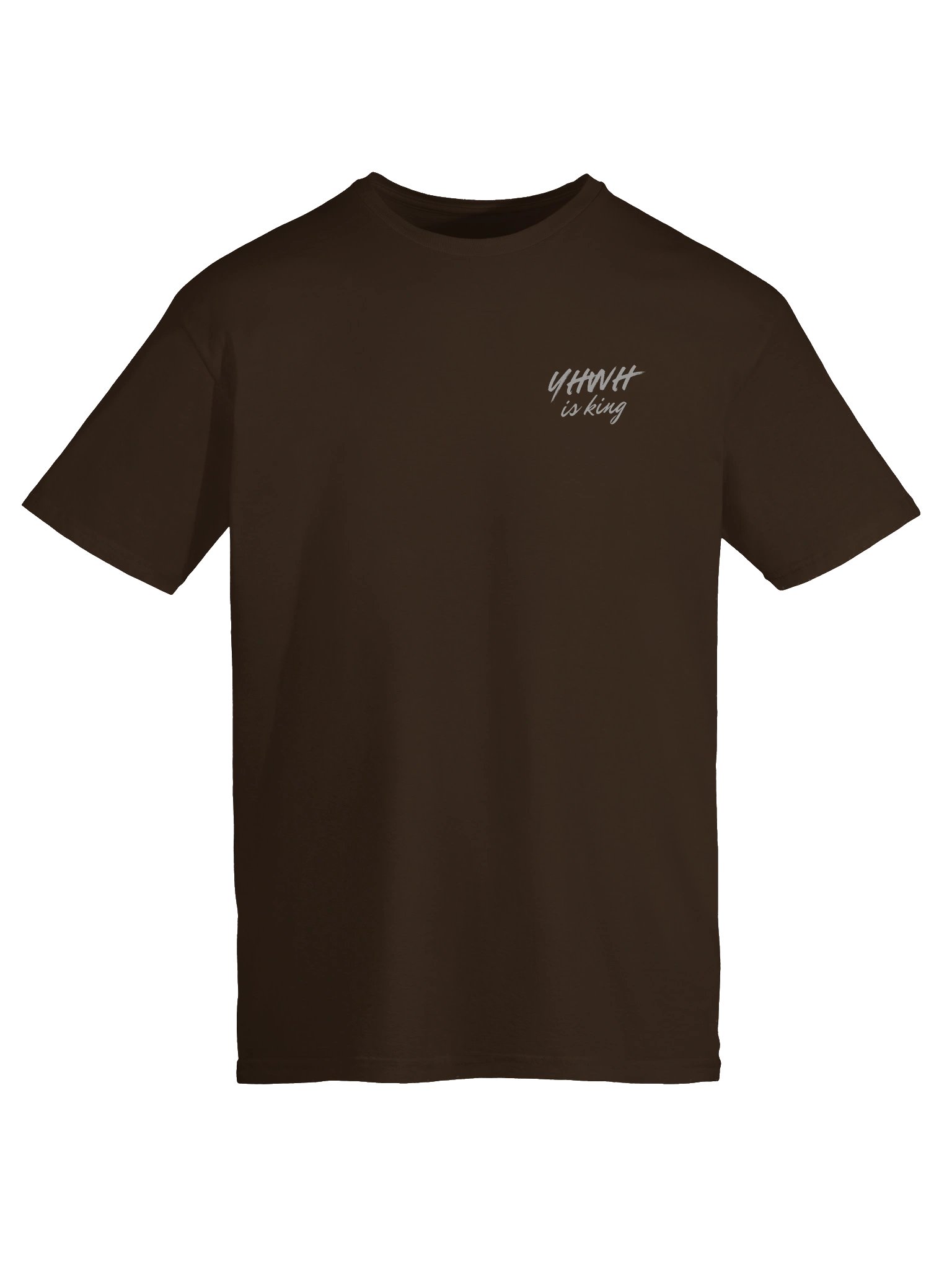 YHWH is King Brush Script T-Shirt product image (61)