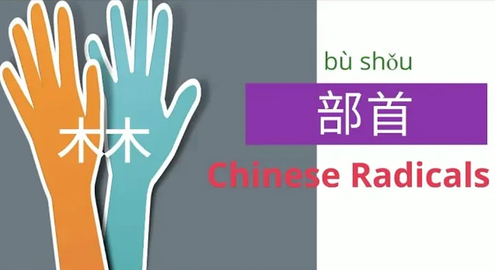 Chinese radical | 部首 product image (1)
